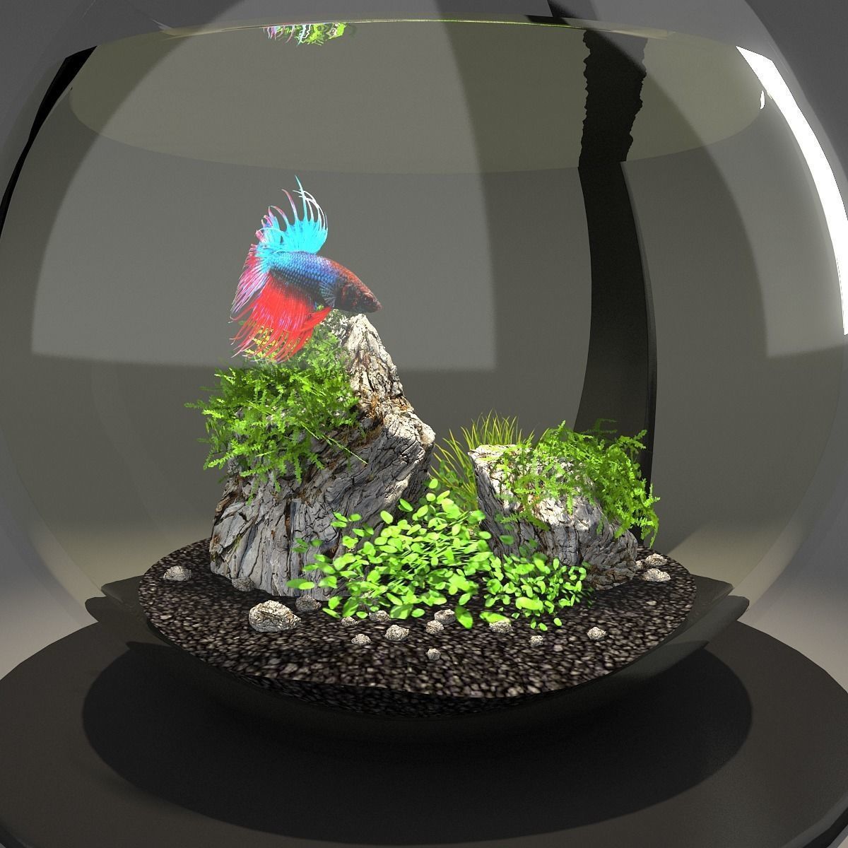 Aquarium bowl 3D model_3
