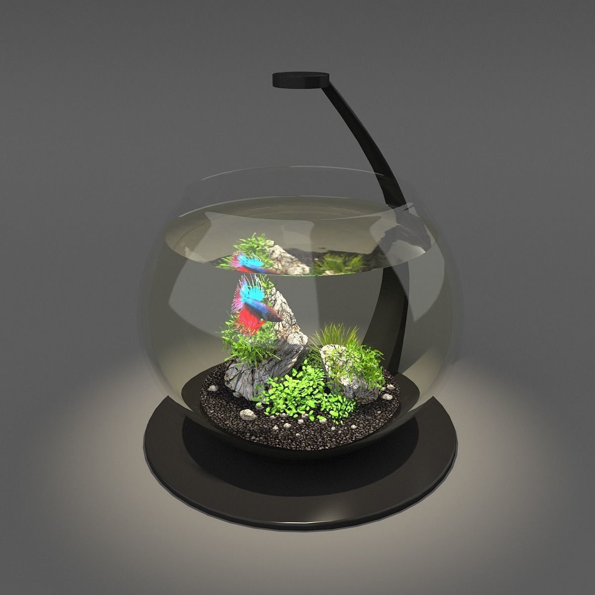 Aquarium bowl 3D model_4