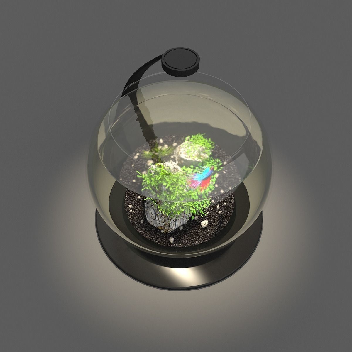 Aquarium bowl 3D model_1