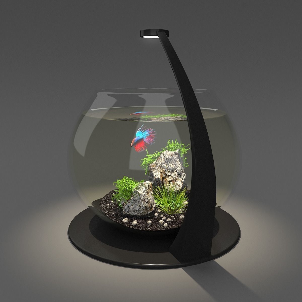 Aquarium bowl 3D model_2