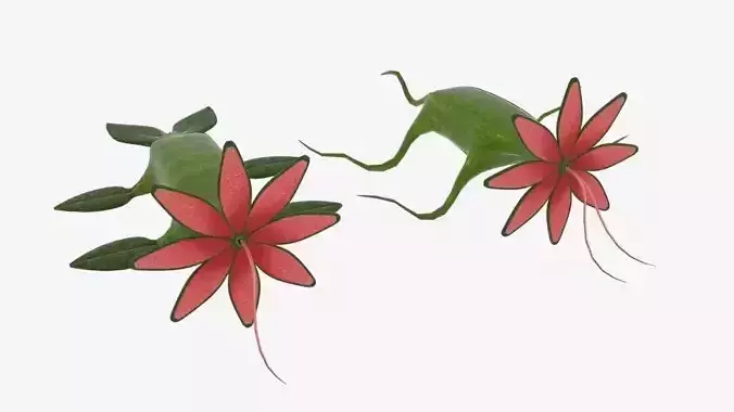  Crawling Monster Flower 