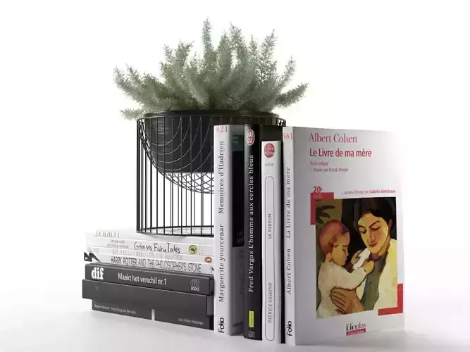 Books with Plant Pot