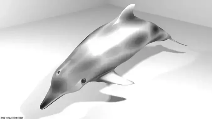 Dolphin - Coastal 3D model