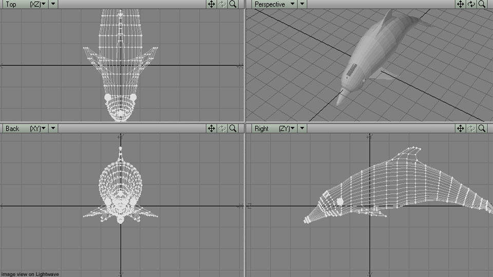 Dolphin - Coastal 3D model_4