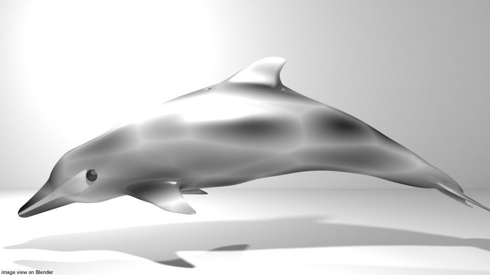 Dolphin - Coastal 3D model_1
