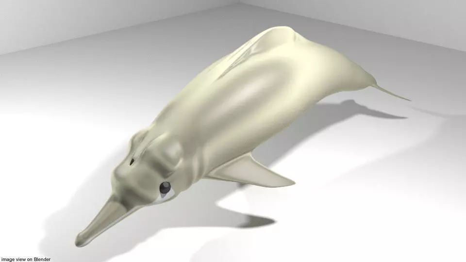 Dolphin - River 3D model_0