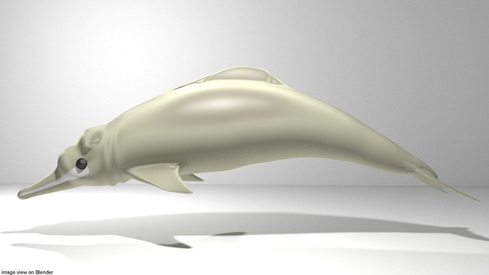 Dolphin - River 3D model_1