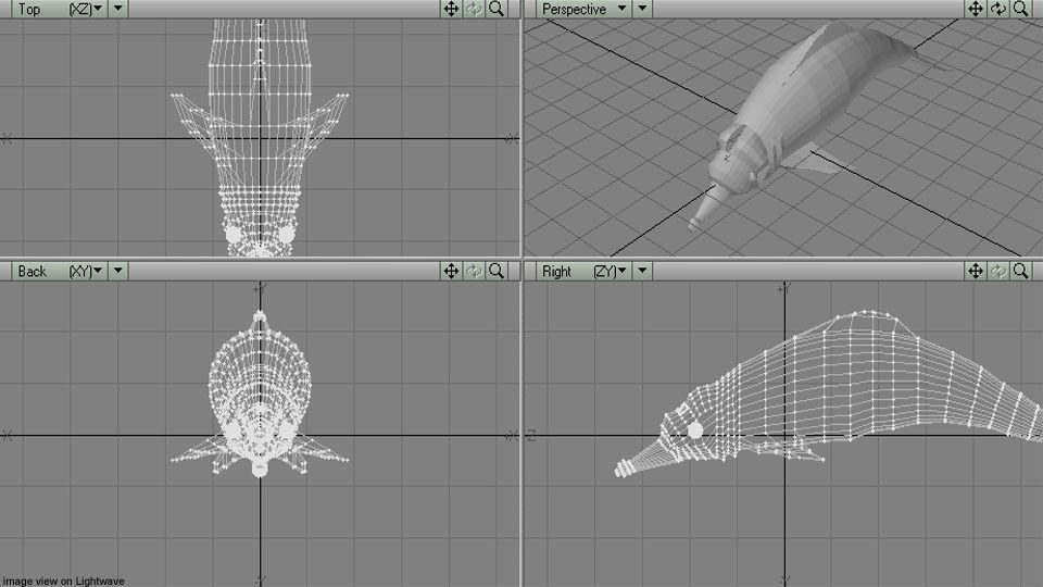 Dolphin - River 3D model_4