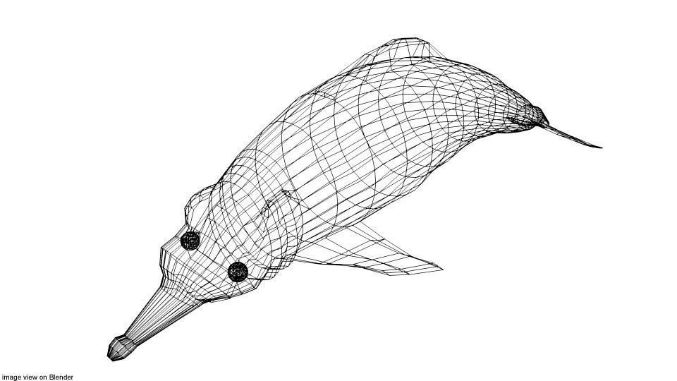 Dolphin - River 3D model_3