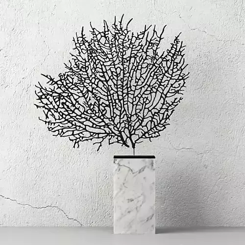 Natural Exotic Sea Fan