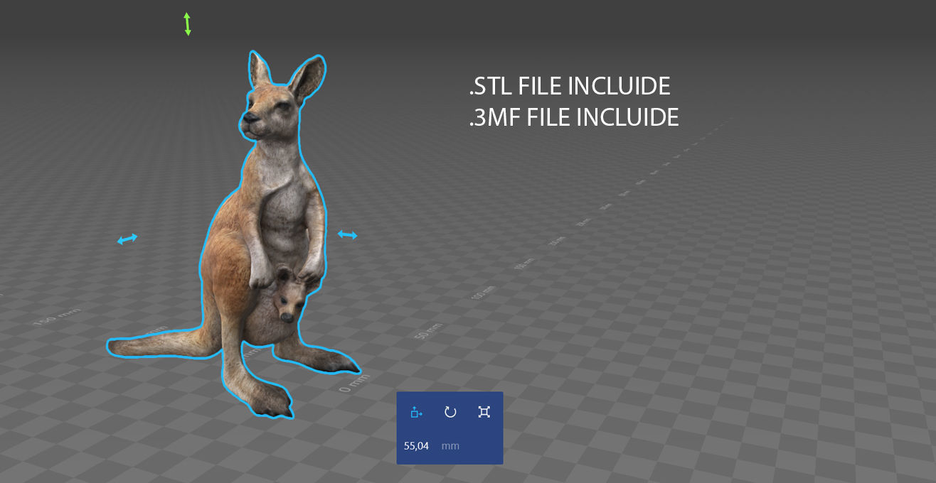 KANGAROO Low-poly 3D model_16