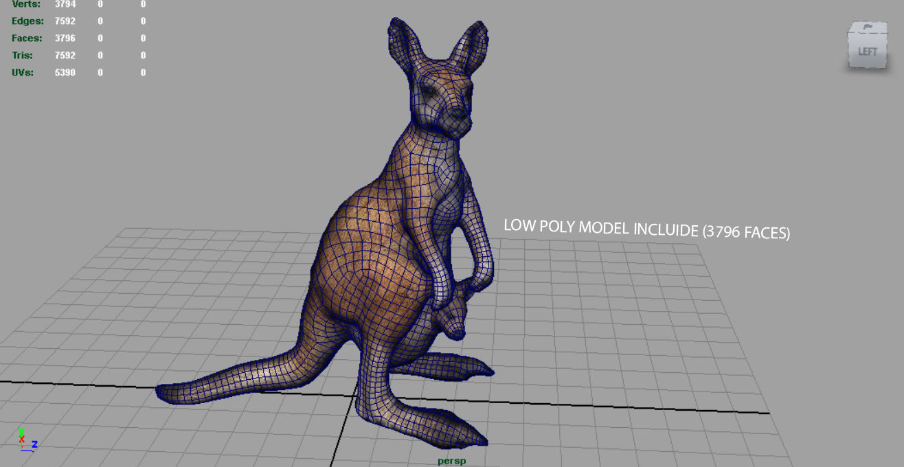 KANGAROO Low-poly 3D model_15