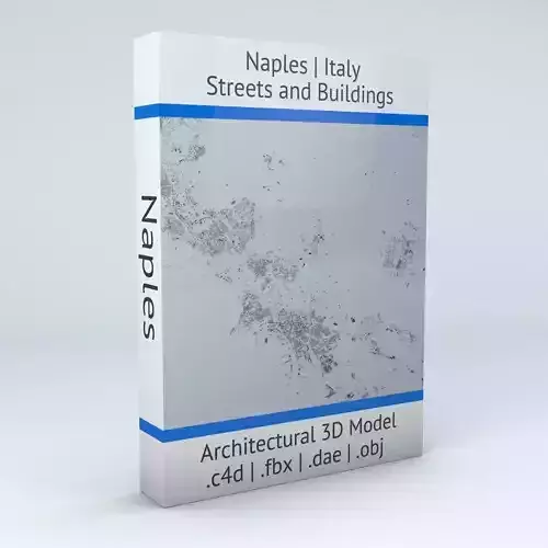 Naples Downtown Area and Scampia Streets and Buildings