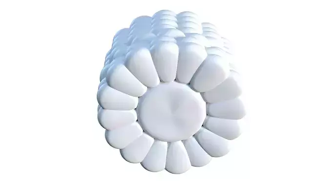 Corn Cob Piece Sliced 3D print model 2