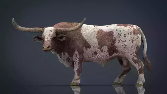 Texas Longhorn Low-poly 3D model