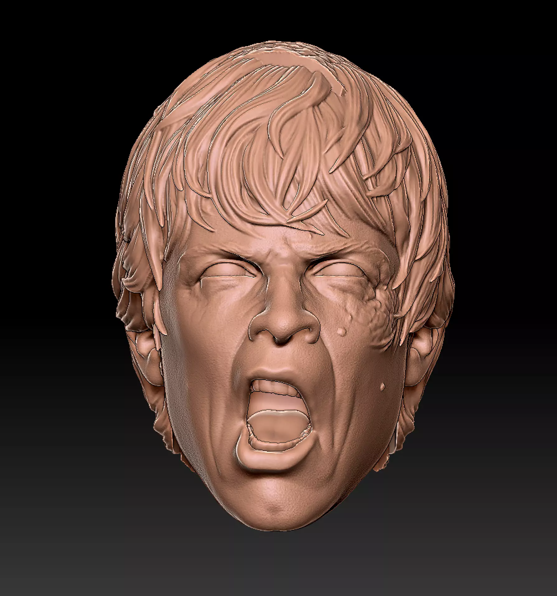 Luke Thats Not True 3D print model