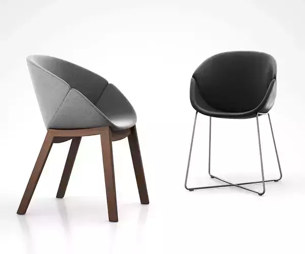 Coquille dining armchair by Domitalia