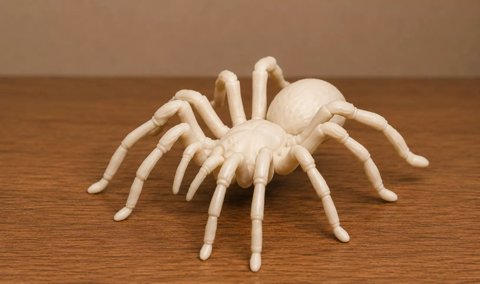 Spider 3D print model