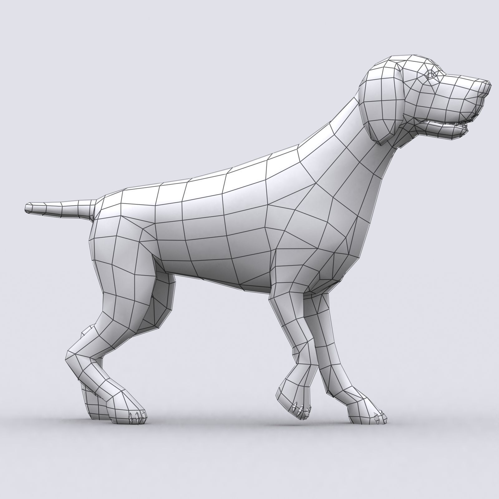 3DRT - German shorthaired pointer Low-poly 3D model_9