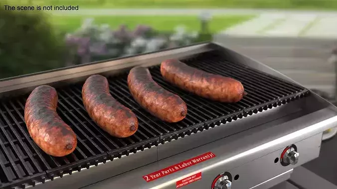 Heavily Grilled Artisan Meat Sausage 3D model 3