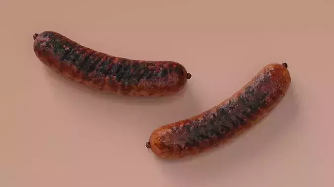 Heavily Grilled Artisan Meat Sausage 3D model 4