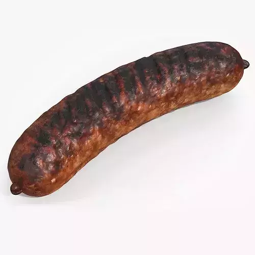 Heavily Grilled Artisan Meat Sausage 3D model 5