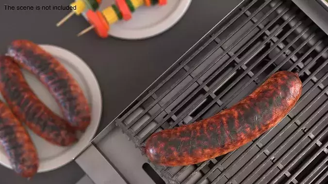 Heavily Grilled Artisan Meat Sausage 3D model 2