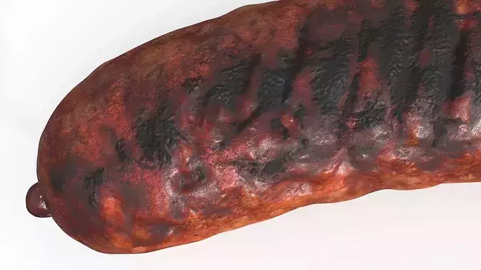 Heavily Grilled Artisan Meat Sausage 3D model 6