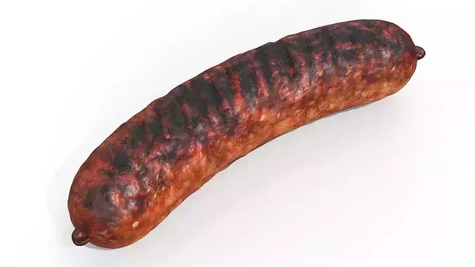 Heavily Grilled Artisan Meat Sausage 3D model
