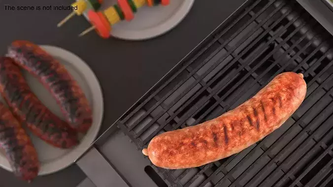 Lightly Grilled Meat Sausage Rustic 3D model 3