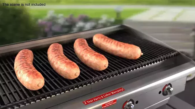 Lightly Grilled Meat Sausage Rustic 3D model 4