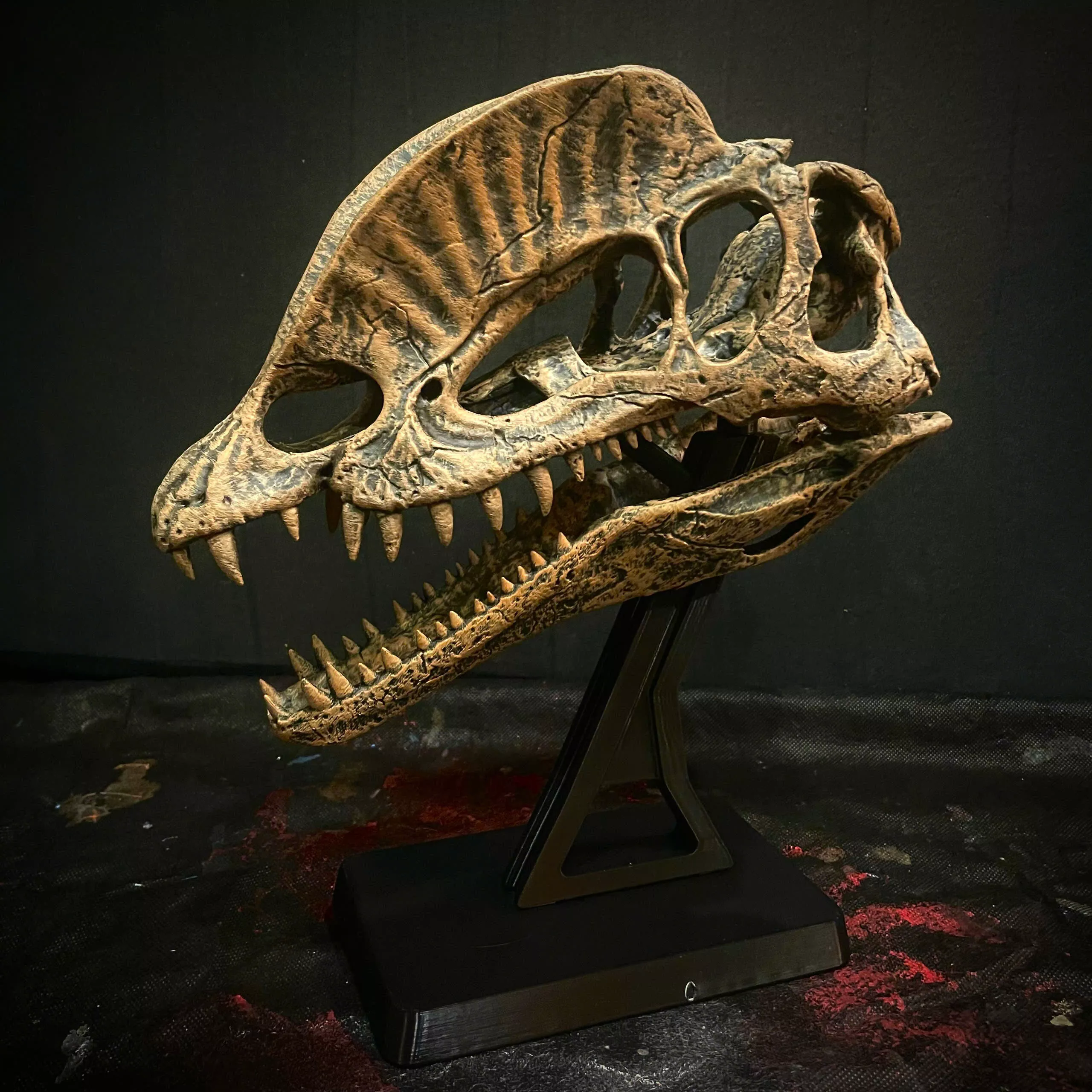 Dilophosaurus Skull Moveable Jaw With Stand Base 3D print model