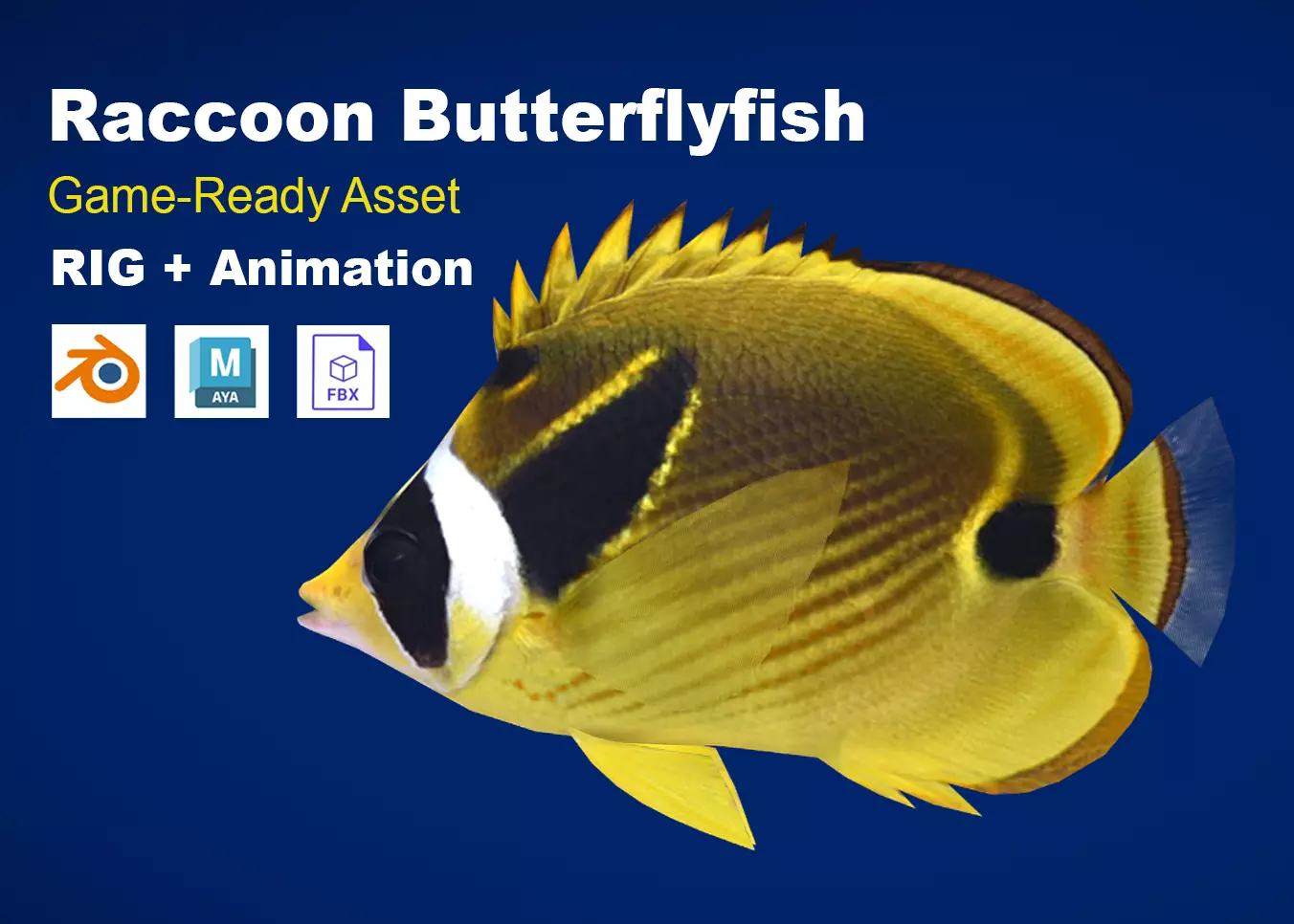 Realistic Raccoon Butterflyfish Animated Low-poly 3D model
