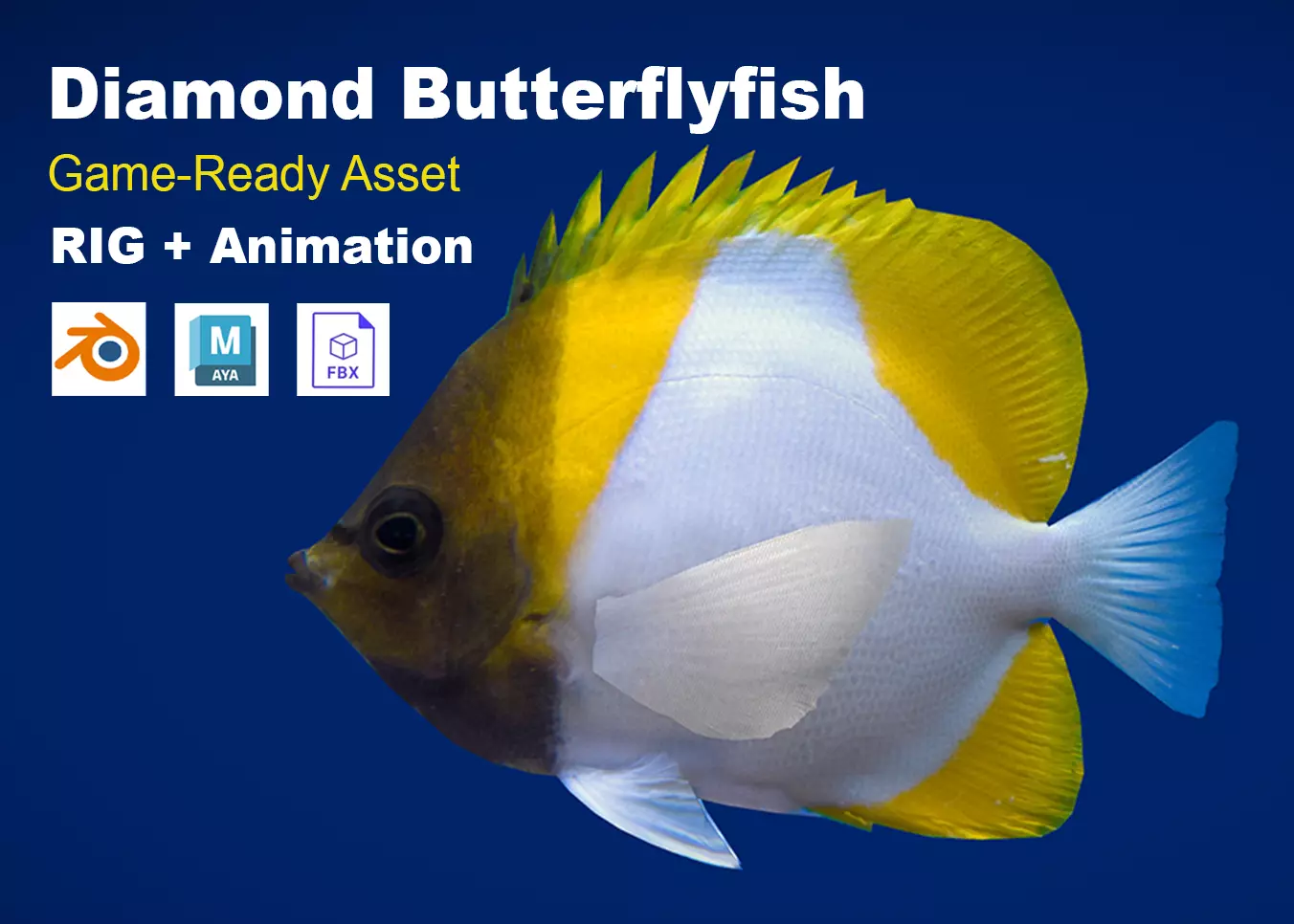 Realistic Diamond Butterflyfish Animated Low-poly 3D model