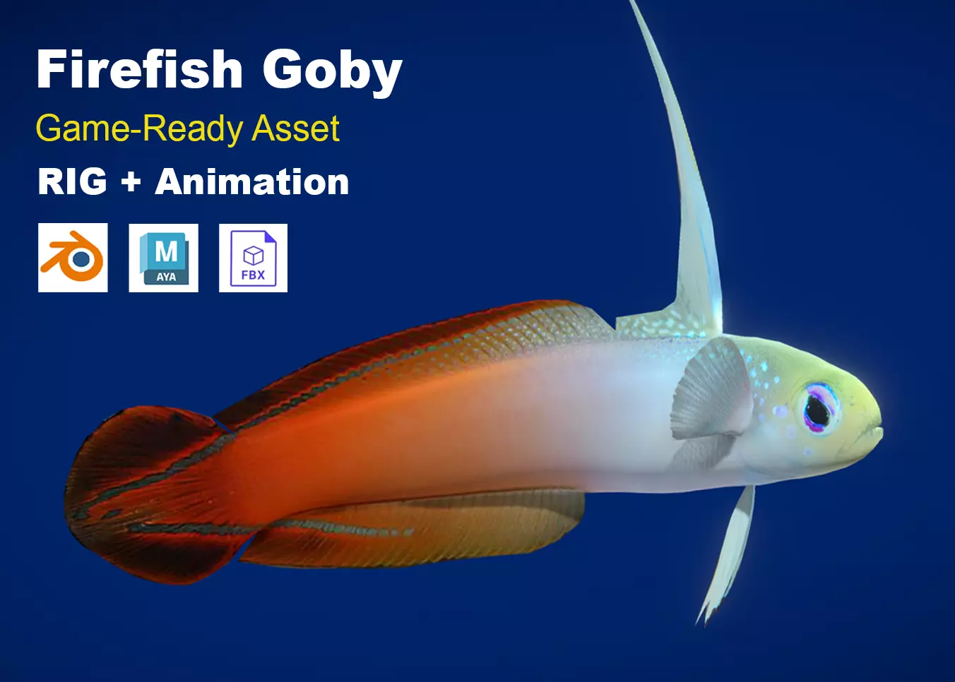 Realistic Firefish Goby Animated Low-poly 3D model