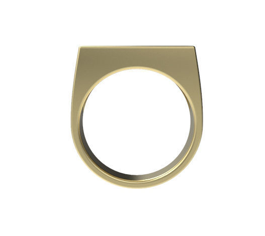 Gents Rectangle Top Signet Ring 3D print model_2