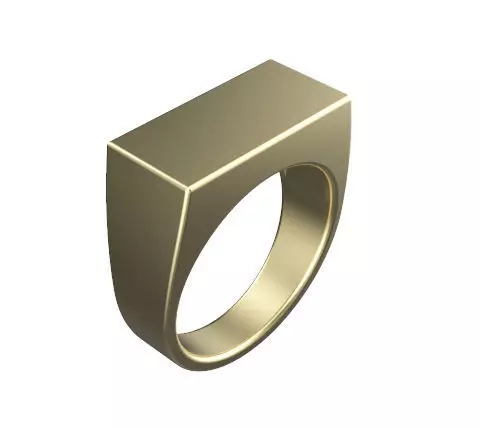 Gents Rectangle Top Signet Ring 3D print model_0