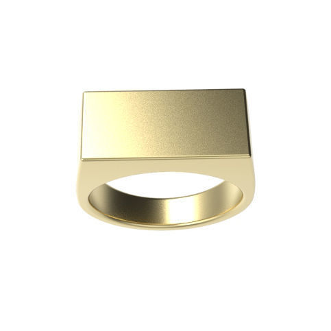 Gents Rectangle Top Signet Ring 3D print model_1