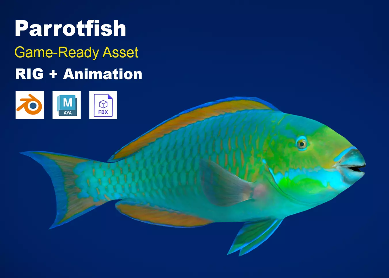 Realistic Parrotfish Animated Low-poly 3D model