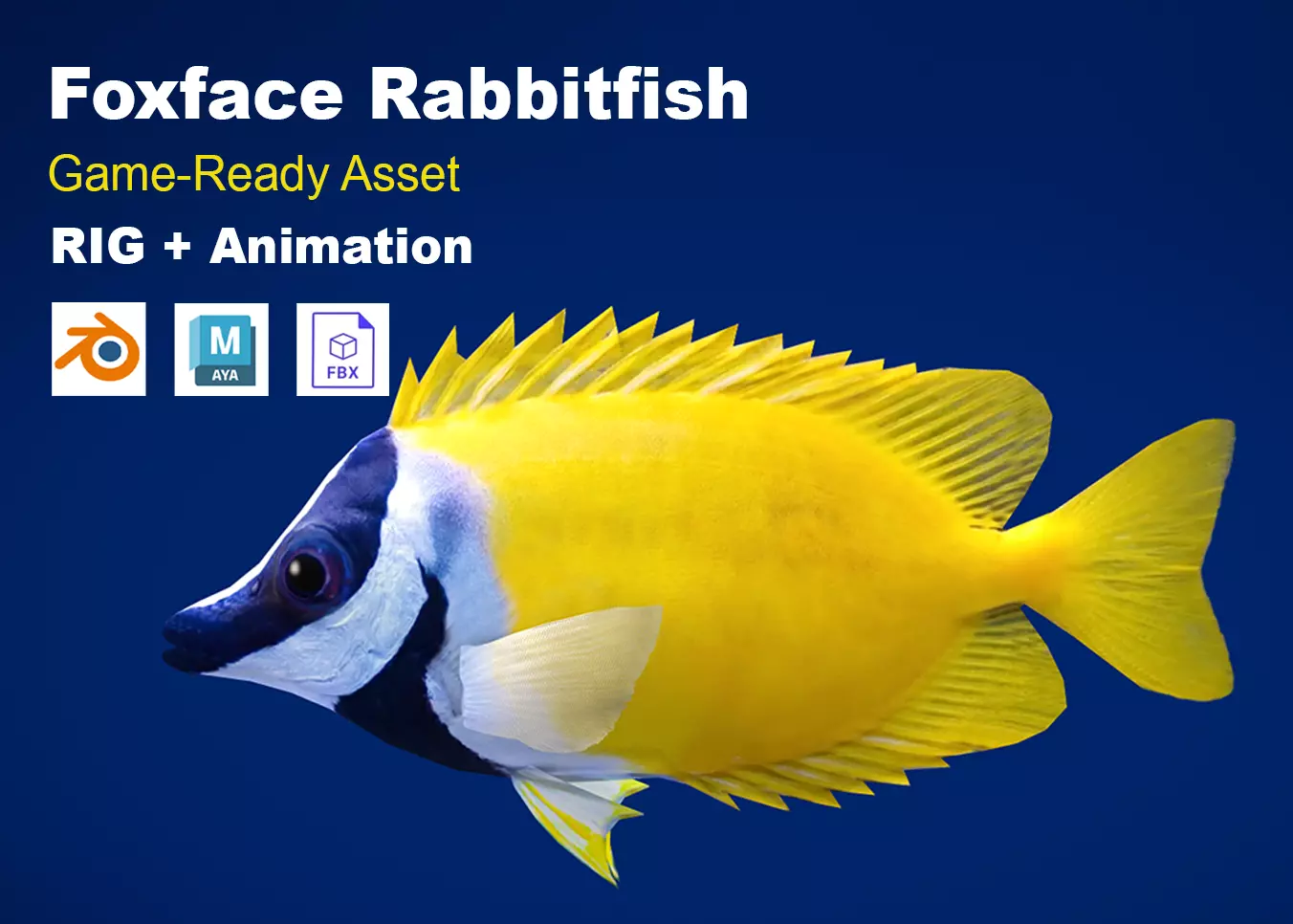 Realistic Foxface Rabbitfish Animated Low-poly 3D model