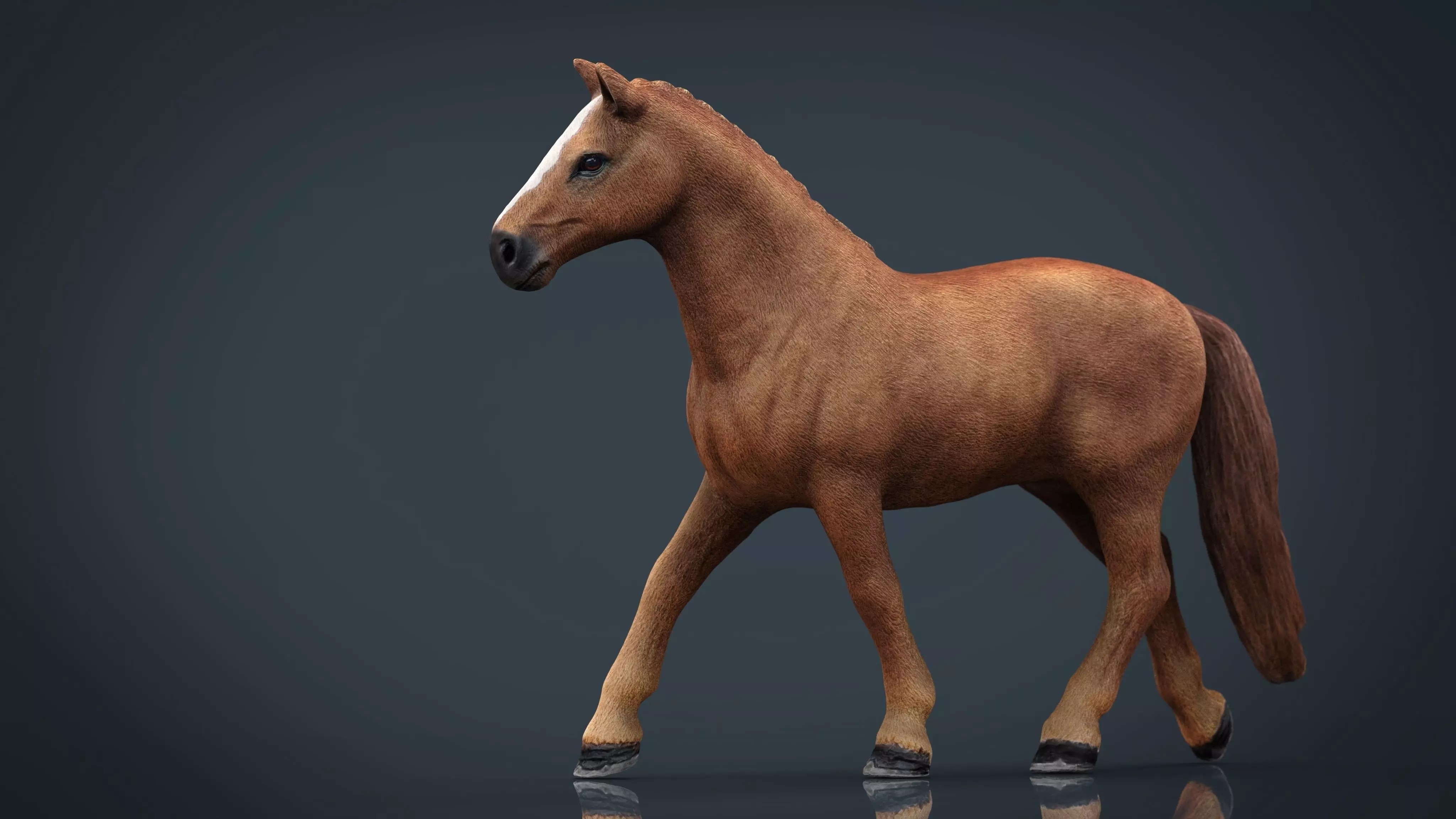 Realistic Horse Low-poly 3D model_0