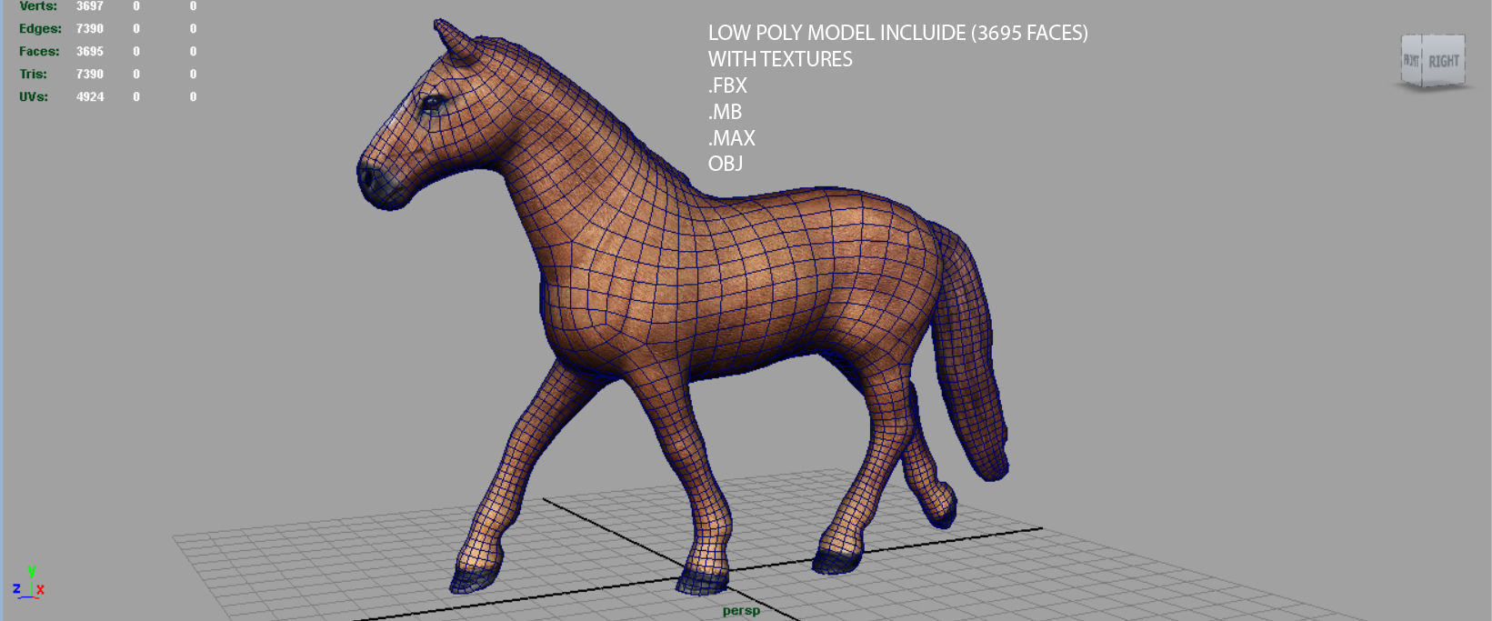 Realistic Horse Low-poly 3D model_15