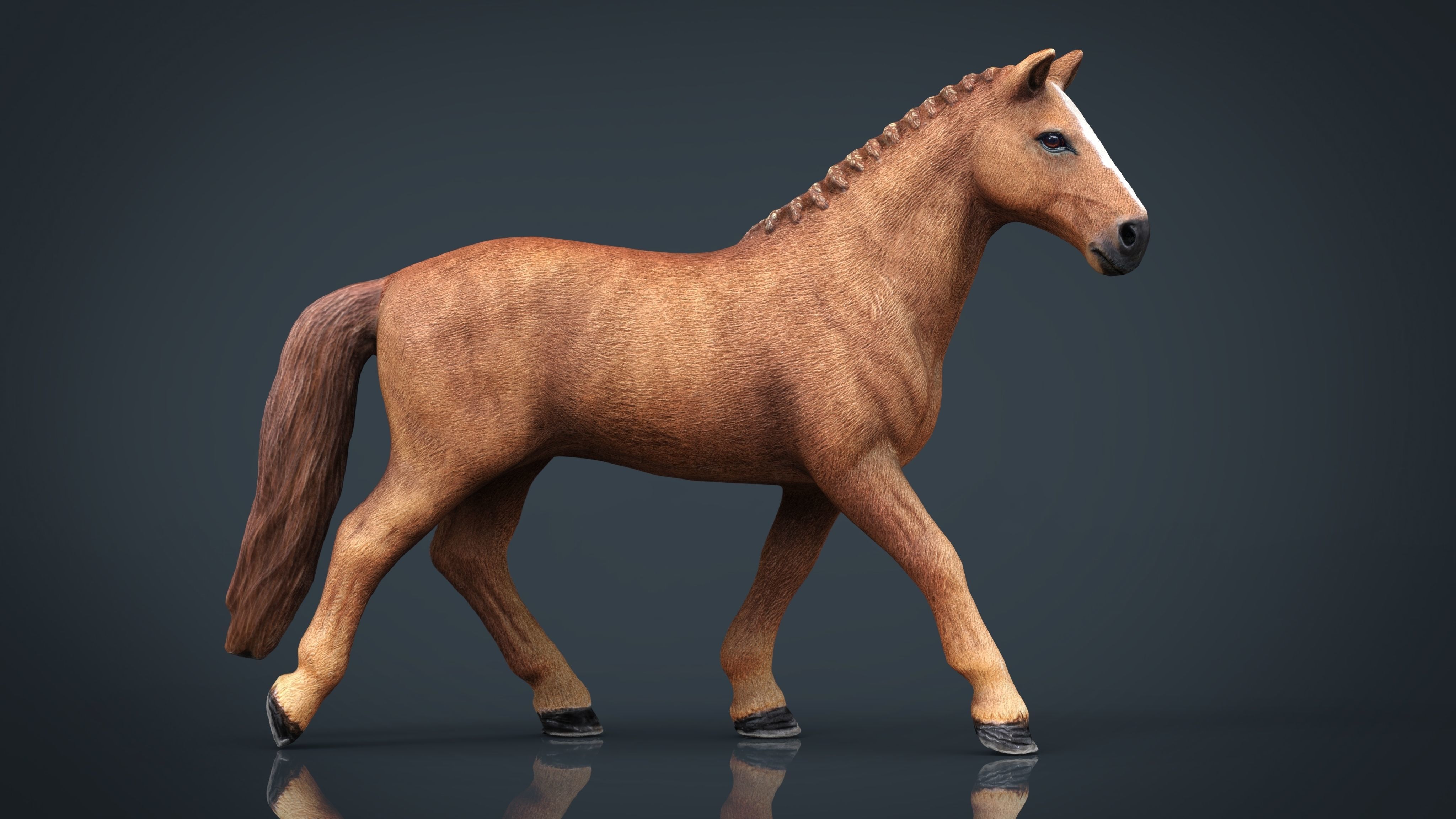Realistic Horse Low-poly 3D model_12