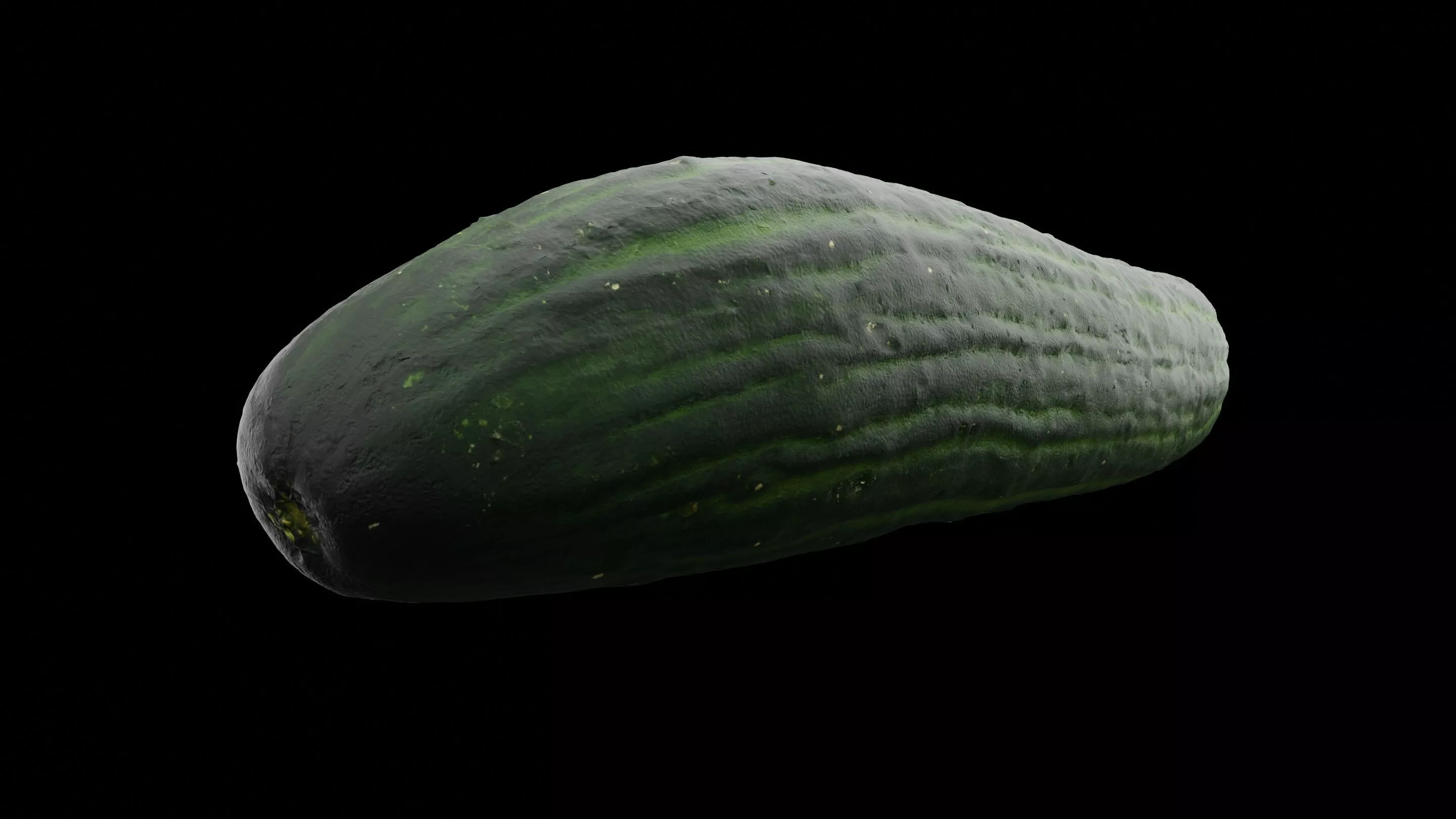 Cucumber Vegetable 3D model