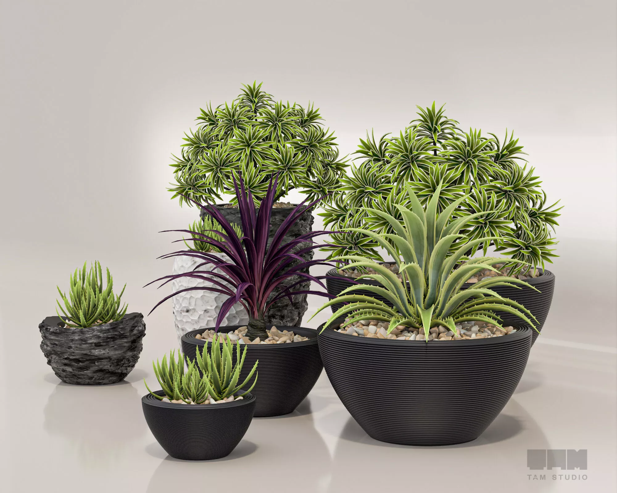Modern Potted Plants Collection 3D model