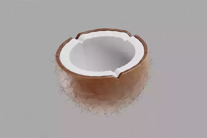 Coconut Inner Low-poly 3D model