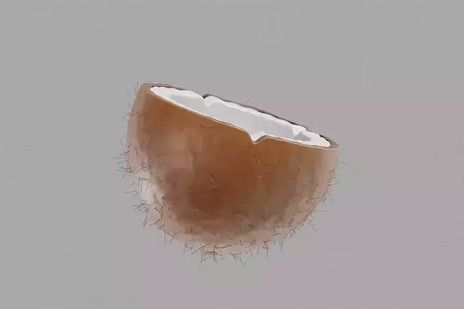 Coconut Inner Low-poly 3D model 6