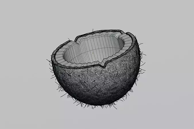 Coconut Inner Low-poly 3D model 7