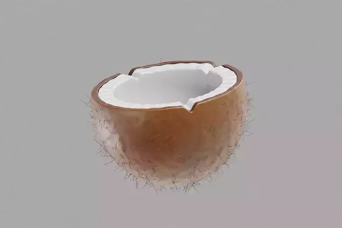 Coconut Inner Low-poly 3D model 5