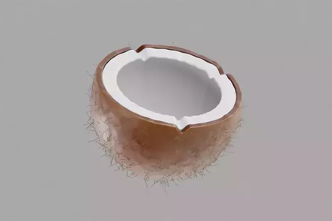 Coconut Inner Low-poly 3D model 2
